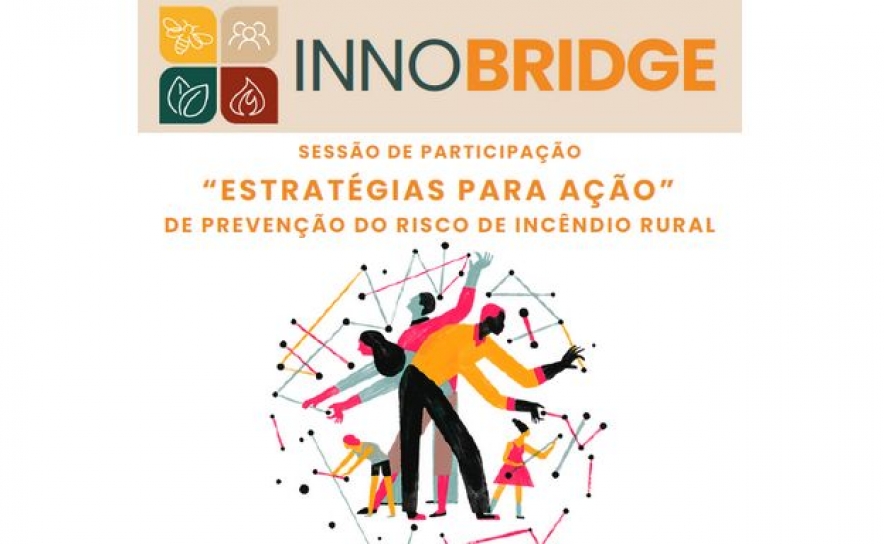 SESSÃO DE PARTICIPAÇÃO «ESTRATÉGIAS PARA AÇÃO» 