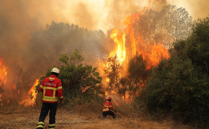 Incêndios: Quatro localidades evacuadas devido a fogo em Odemira