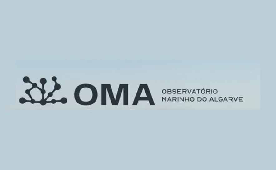 Observatório Marinho do Algarve quer impulsionar cooperação entre ciência e empresas