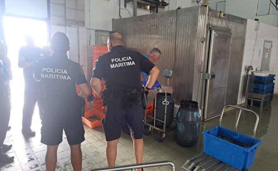 Polícia marítima apreende 125kg de polvo em Tavira