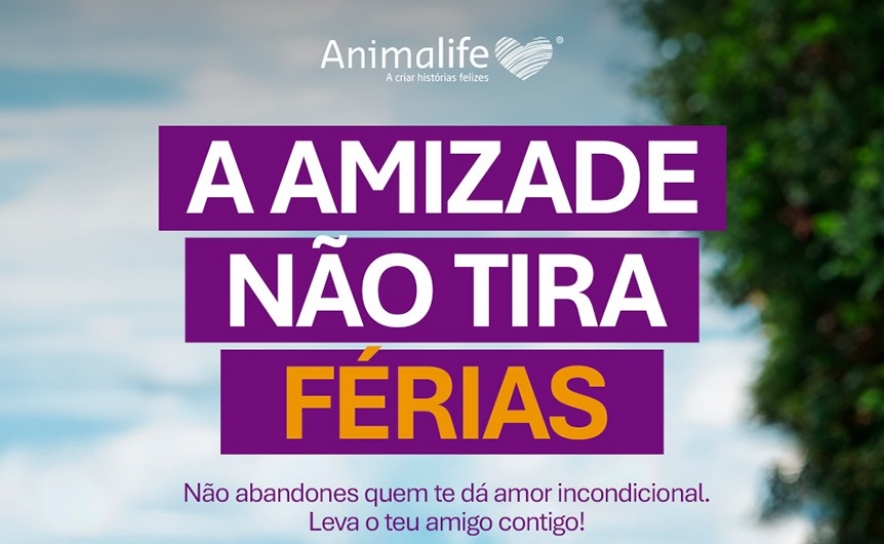 Animalife Lança Campanha de Sensibilização «A Amizade Não Tira Férias» para Combater o Abandono de Animais no Verão