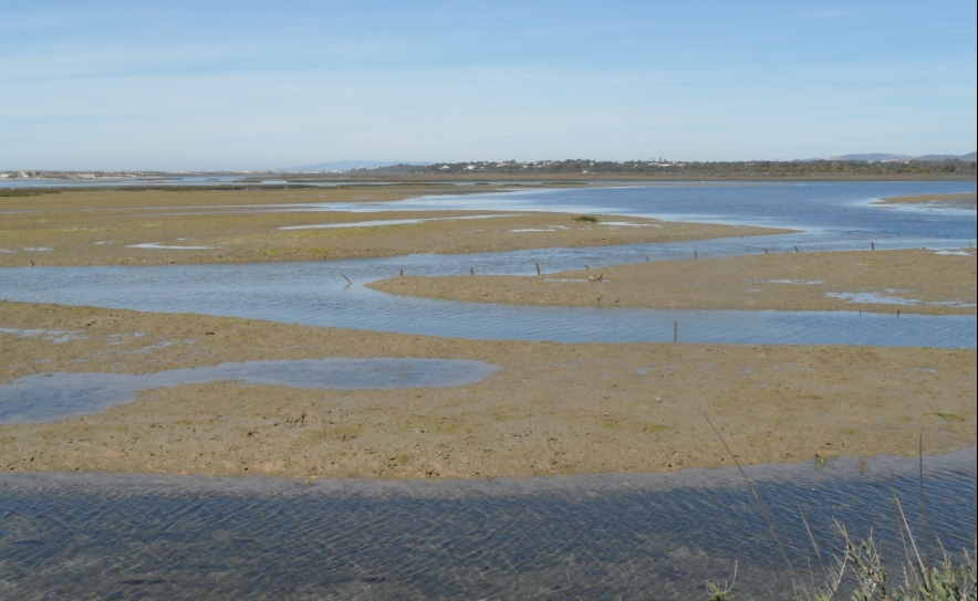 Câmara Olhão receia que demolições na Ria Formosa obrigue a indeminizações