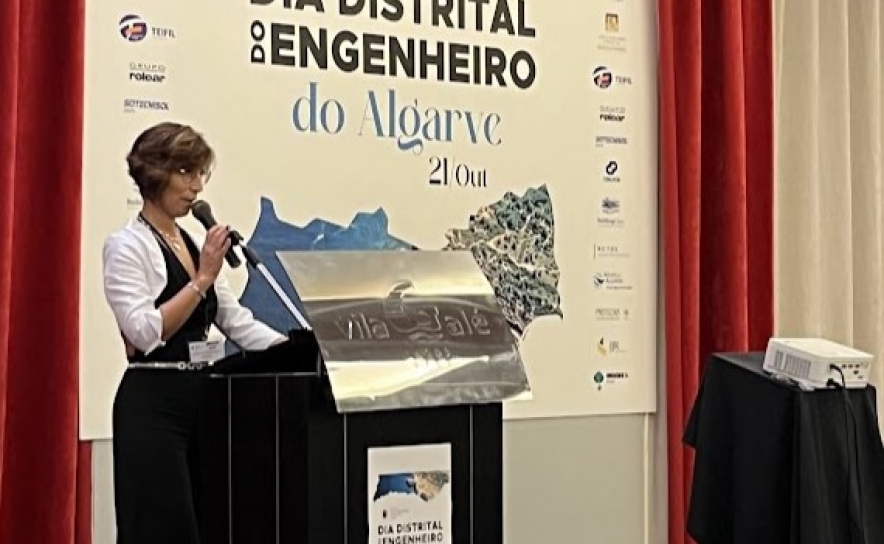 Engª Elisa Silva