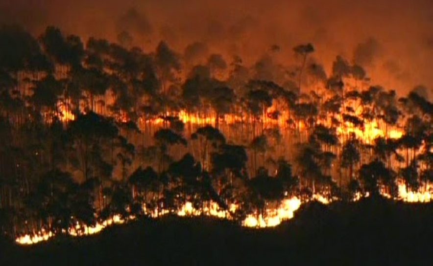 Incêndios: Feridas abertas pelo fogo há dois anos marcam o dia-a-dia na Serra de São Brás de Alportel