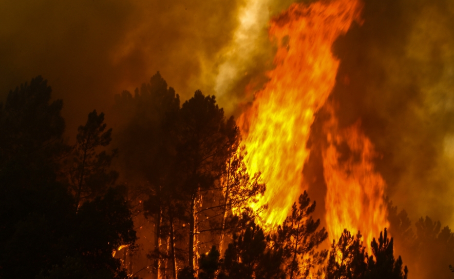 Informação relativa a incêndio florestal na Madeira