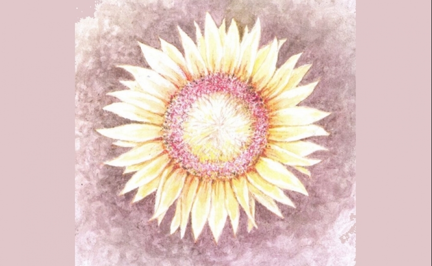 MISTURELA - GIRASSOL