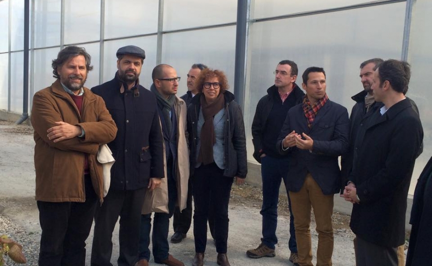 Deputados do PSD visitam Agricultura Algarvia