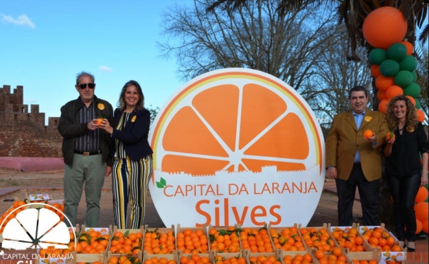 Produtores do concelho podem associar-se à marca «Silves, Capital da Laranja»