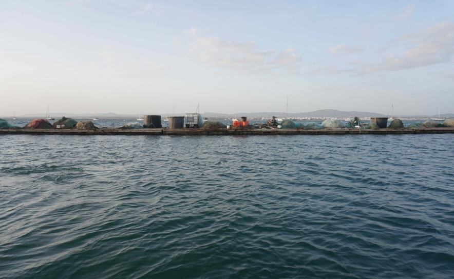 «WATERWORLD»: Projeto multidisciplinar pretende refletir sobre o impacto das alterações climáticas na Ria Formosa
