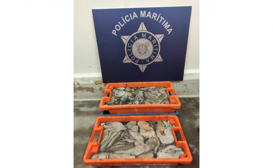 Polícia Marítima apreende cerca de 50kg de polvo e uma rede de pesca com 950 metros em Lagos