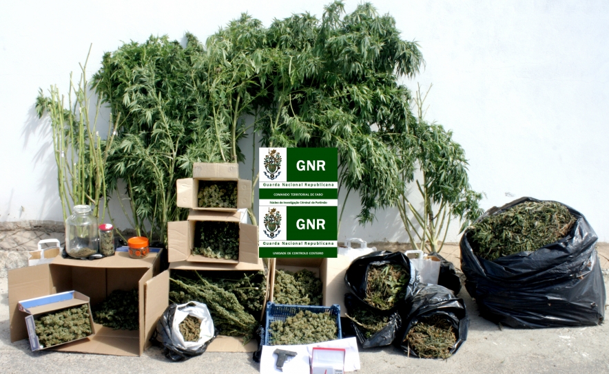 GNR de Portimão detém sexagenário produtor de Cannabis