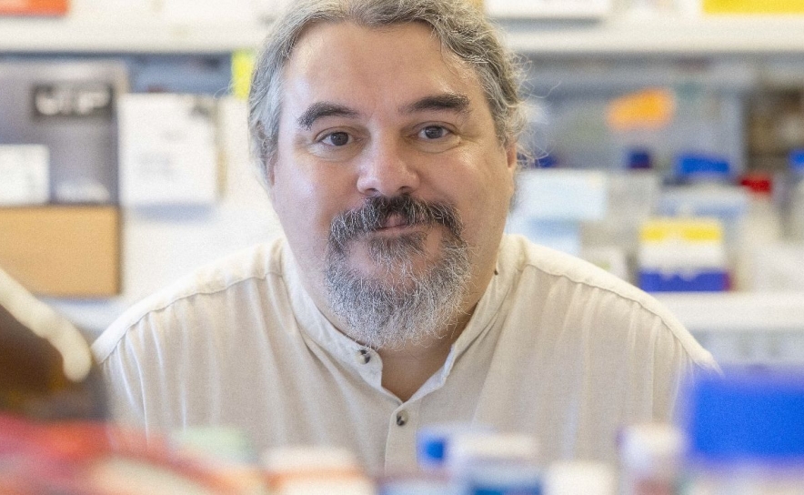 Investigador da UAlg distinguido com o Prémio Nunes Correa Verdades de Faria