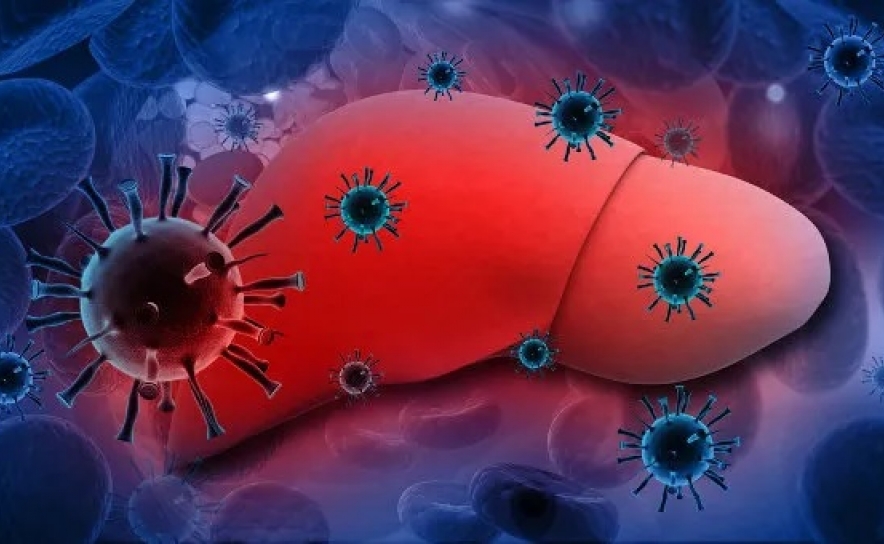 Portugal no caminho certo para a eliminação da Hepatite C