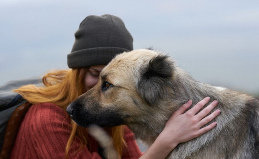 UAlg promove Cãominhada em Olhão