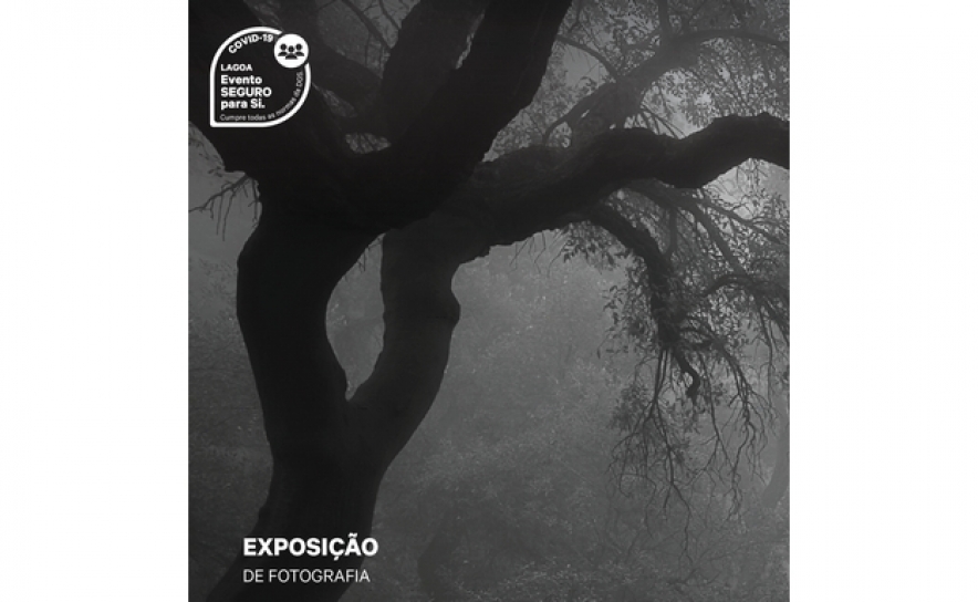 Exposição de Fotografia | «Light of the senses» 