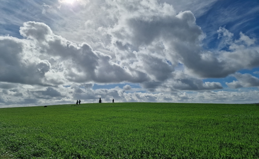 Campos da Taça de Pistagem 2025