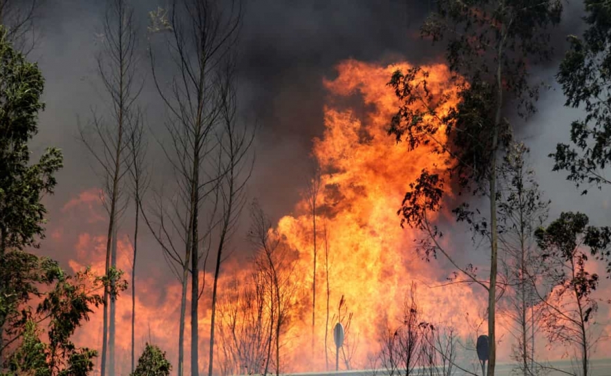 Incêndio em Lagos entrou em fase de rescaldo