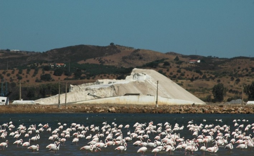 Autarquia de Castro Marim colabora com ICNF na promoção da marca “Natural.PT”