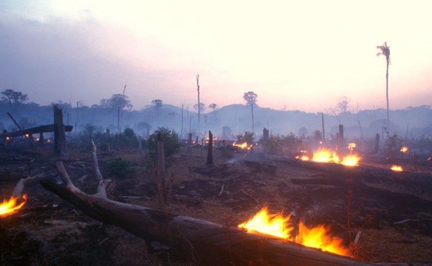 Incêndio em Monchique dado como dominado às 07:15