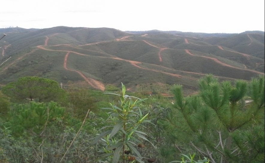 Prevenção estrutural aos fogos florestais 