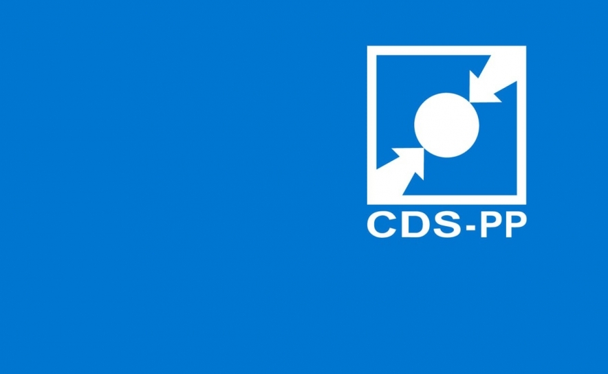 CDS saúda efusivamente o Dia Internacional da Família