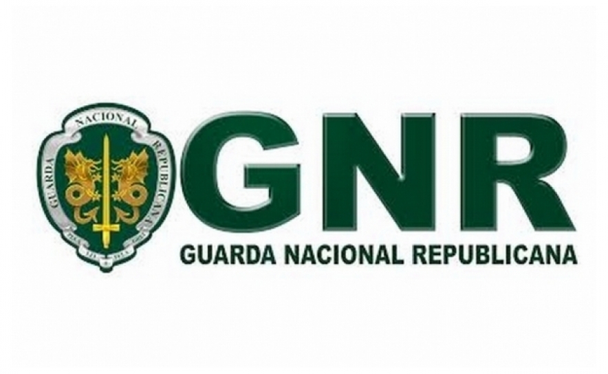 Atividade operacional das últimas 12 horas