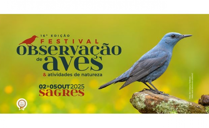 Abrem hoje as inscrições para o maior festival de aves e natureza do país