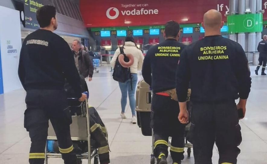 Dois bombeiros de Albufeira e um cão ajudam as vítimas do sismo na Turquia