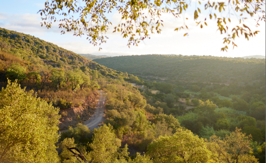 SEMANA DO CLIMA DE LOULÉ VAI REFORÇAR SENSIBILIZAÇÃO DA COMUNIDADE E EDUCAÇÃO AMBIENTAL