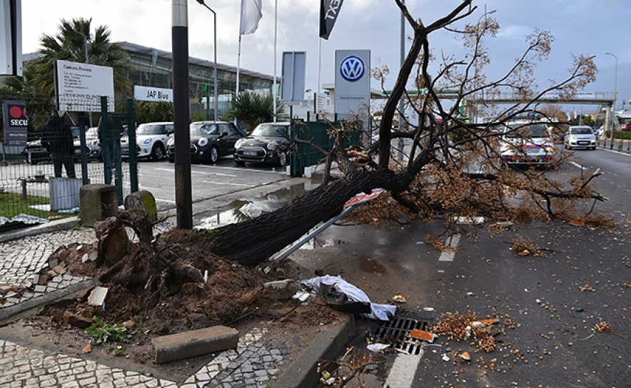 Foto © Samuel Mendonça/Folha do Domingo