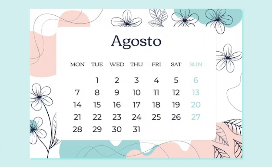 Mês de agosto: dos cães, dos mosquitos e dos bloggers