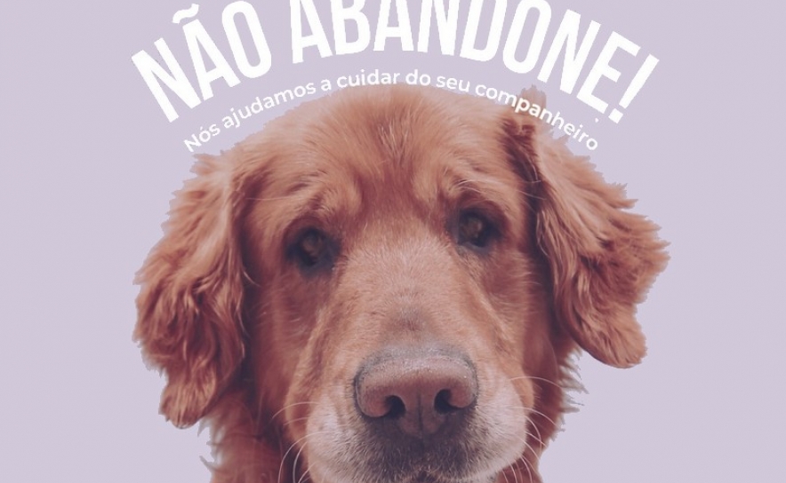 Animalife e BWMEDIA unem-se para travar o abandono de animais de companhia