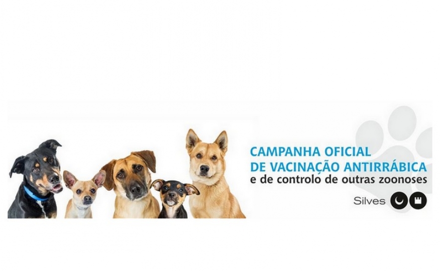 CAMPANHA OFICIAL DE VACINAÇÃO ANTIRRÁBICA 2024 ARRANCA, NAS FREGUESIAS DO CONCELHO, NO DIA 20 DE MAIO 