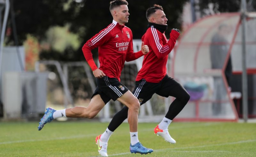 Otamendi e Weigl regressam aos convocados do Benfica para jogo em Portimão