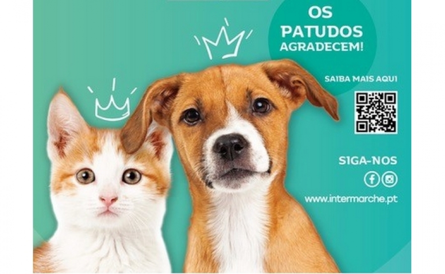 Campanha solidária do Intermarché doa mais de 25 mil refeições a animais abandonados 