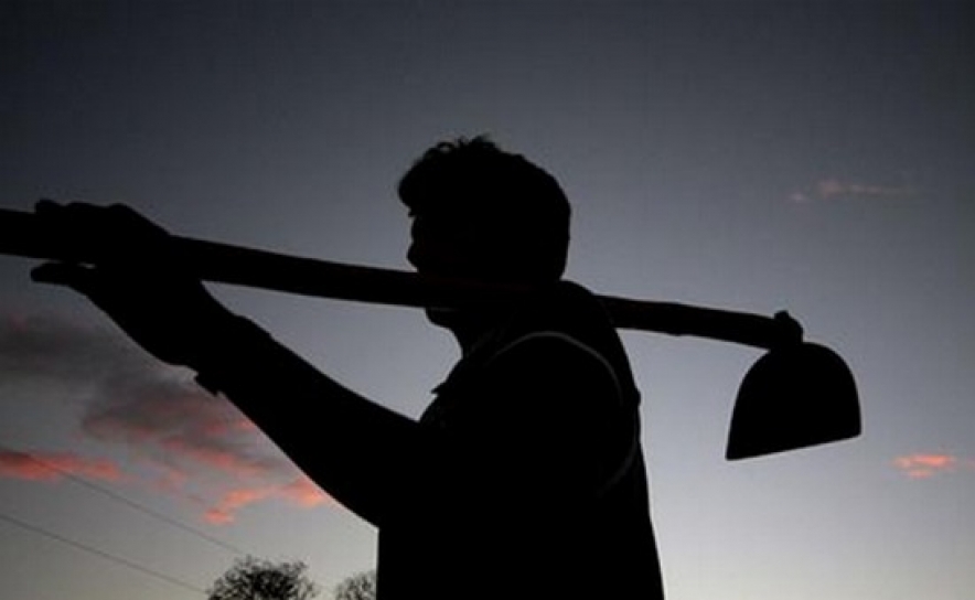 Governo altera regime da pagamentos base para jovens agricultores e pequena agricultura