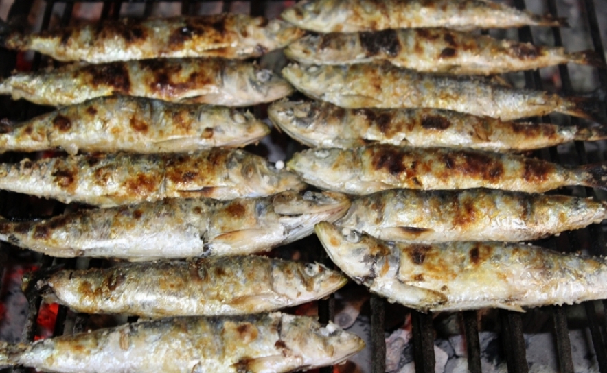 Festival da Sardinha