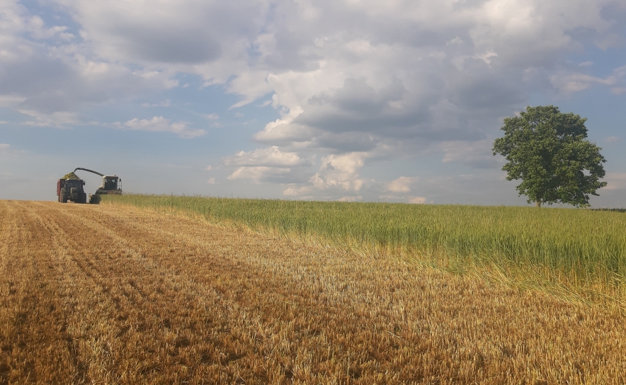 Por: Palombar - Conservação da Natureza e do Património Rural.