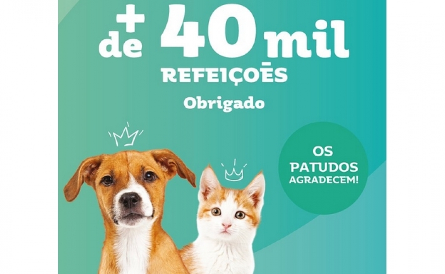 «Amiga-me» do Intermarché angaria mais de 40 mil refeições para animais abandonados 