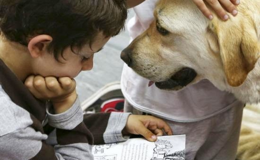 Projetos «L.E.R. Cãofiante» e «Cão Petencias para a vida» são destaque em Grande Reportagem Da SIC 