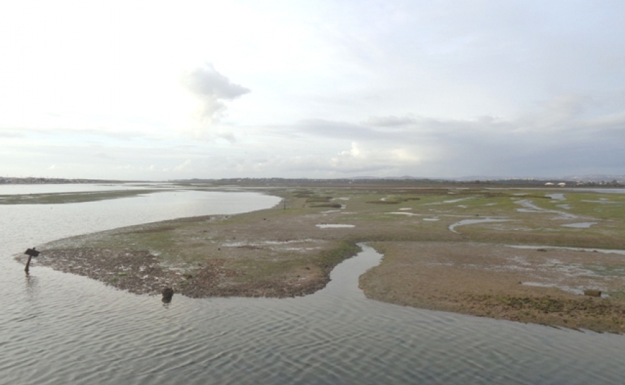 Habitação condigna para os desalojados na Ria Formosa