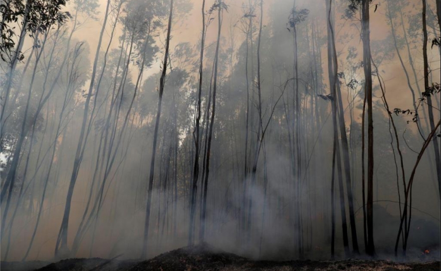 Incêndios: Fogo no concelho de Castro Marim dominado às 10:20