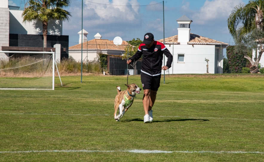 Foto: Carlos Filipe photography