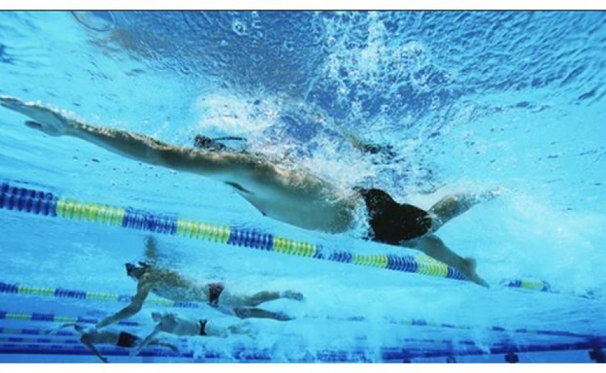 Mais quatro ouros para nadadores portugueses nos Europeus de Síndrome de Down Mais quatro ouros para nadadores portugueses nos Europeus de Síndrome de Down