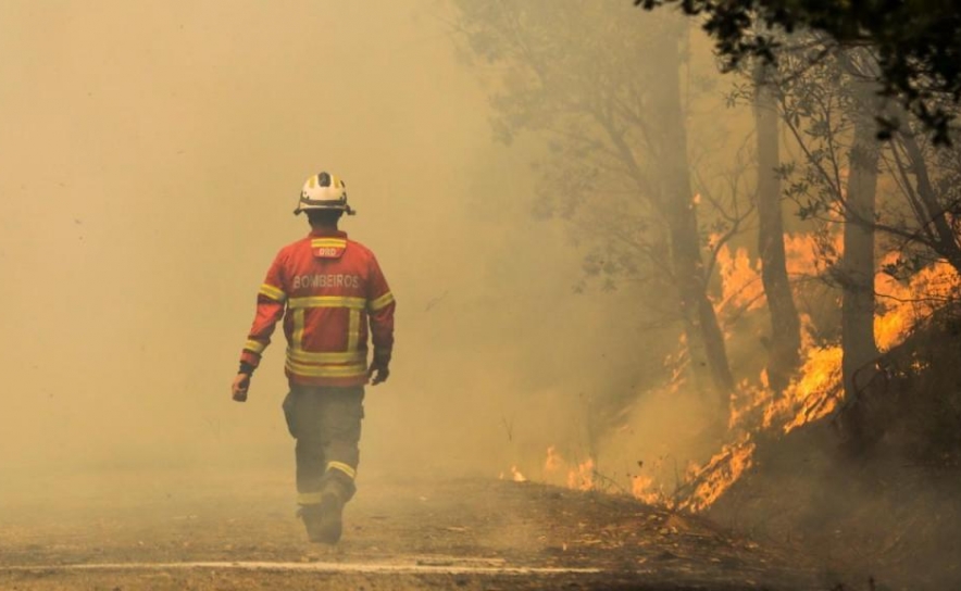 Agricultores já podem reportar prejuízos do incêndio de Monchique e Portimão