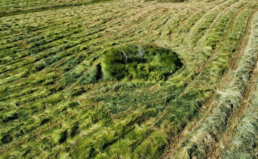 Por: Palombar - Conservação da Natureza e do Património Rural.