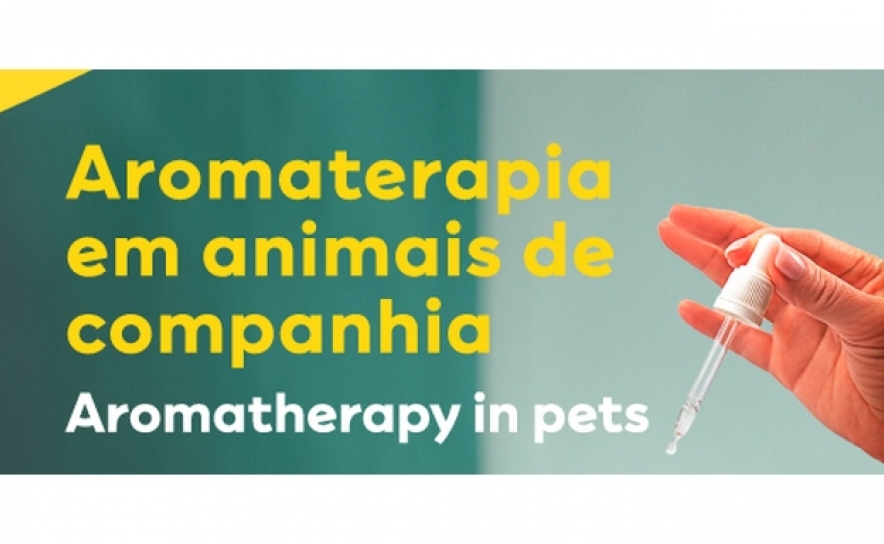 MAR Shopping Algarve lança workshop de aromaterapia para animais de estimação 