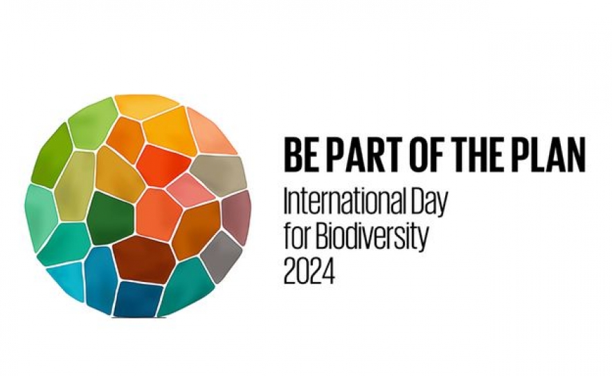 Dia Internacional da Biodiversidade | CCDR Algarve destaca o lema escolhido pelas Nações Unidas : «Faça parte do Plano»