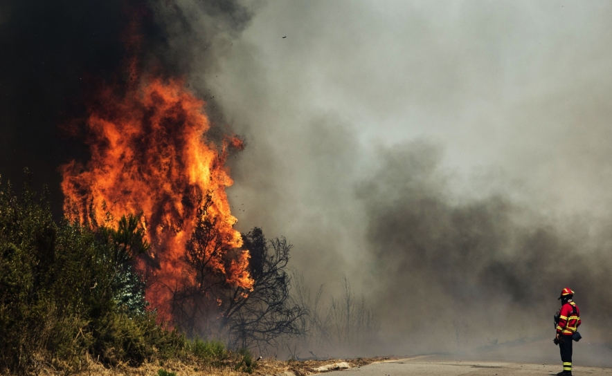 Incêndios: Detido homem suspeito de atear fogo florestal no concelho de Loulé