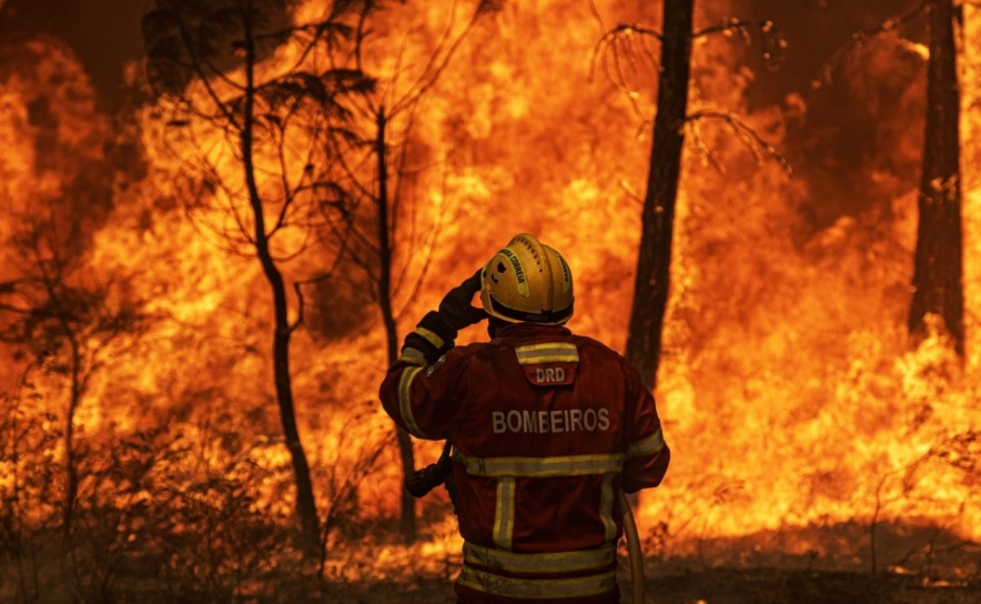 Nove concelhos dos distritos de Faro e Santarém com risco muito elevado de incêndio